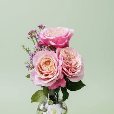 Painted Peonies Vase with blooms