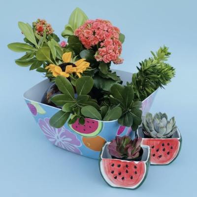 Watermelon succulents fruit bowl bouquet (*comes w/ sunflowers)