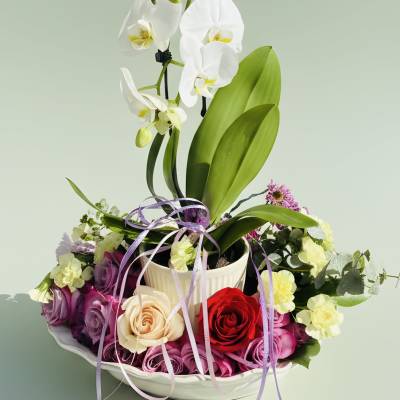 Fairytale Blooms Orchids and roses