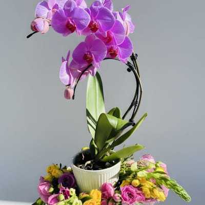 Orchids and Roses Bouquet