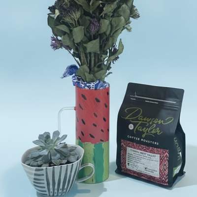 Coffee and succulents mug bundle