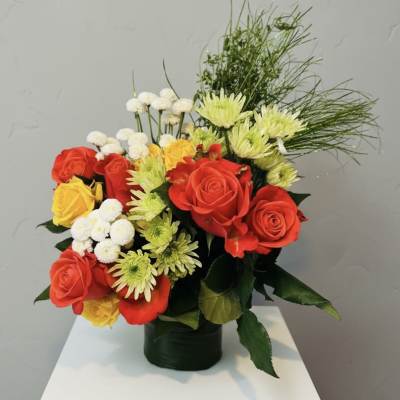Rosy Mums