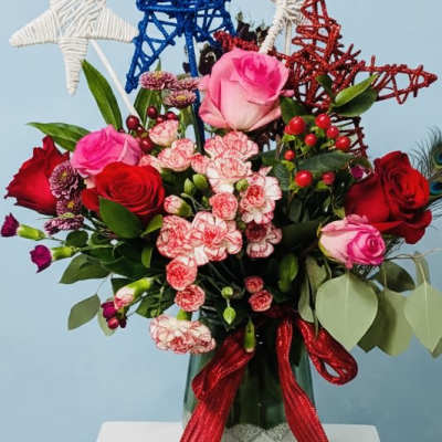 Red, White and Blue Stars Bloom
