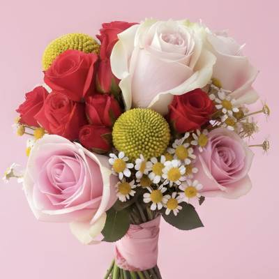 Hand Bouquet w/roses and chamomile
