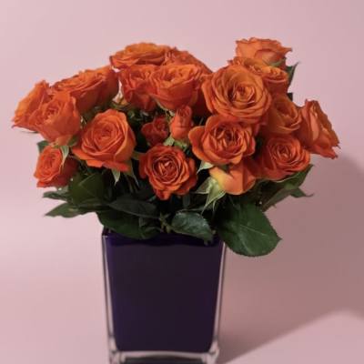 Color block roses-choose your color