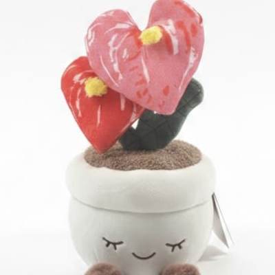 Anthurium plant plushy