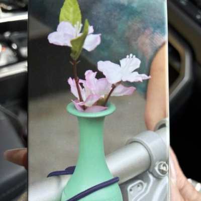 bike vase