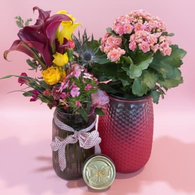 Butterfly jar Bundle