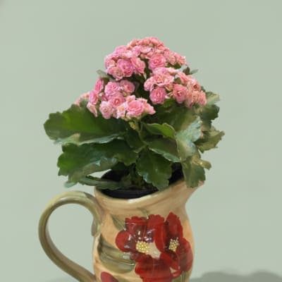 Flowering Ceramic Pitcher