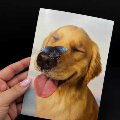 Dog and Butterfly card