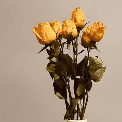 Cat Lover's Vase