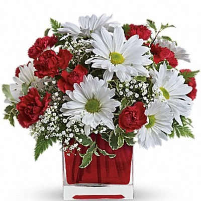 Red carnations and white daisies in a clear square vase