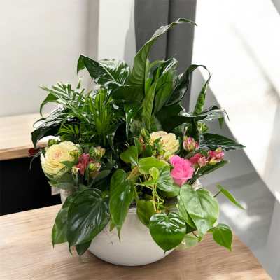 Floral Dish Garden