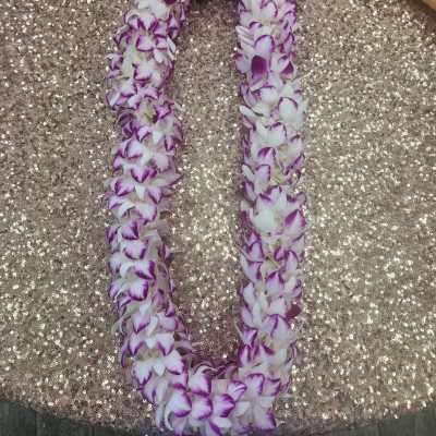 Hawaiian Lei - Flower lei - Fresh White and Purple Orchid Lei -
