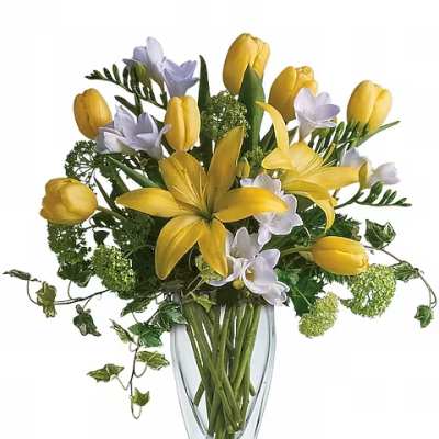 Teleflora's Spring Rhapsody