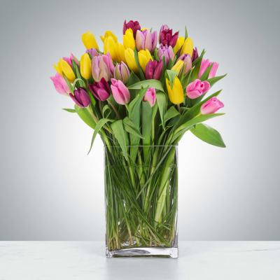 Bouquet of pink, yellow, and purple tulips in a clear glass vase