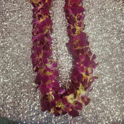 Hawaiian Lei - Flower lei - Fresh Orange Orchid Lei -