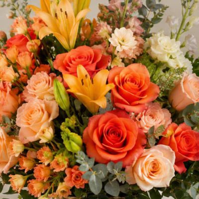 Florida Sunrise by Petal Perfection