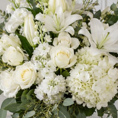 Innocence Remembered