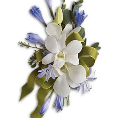 White orchid corsage with blue accents and green ribbon
