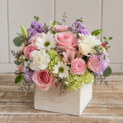 Paste Box of Blooms by Petal Perfection Flower Company