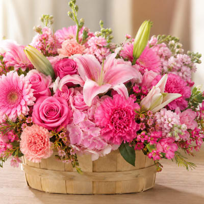 Pink Posies for Tampa Bay