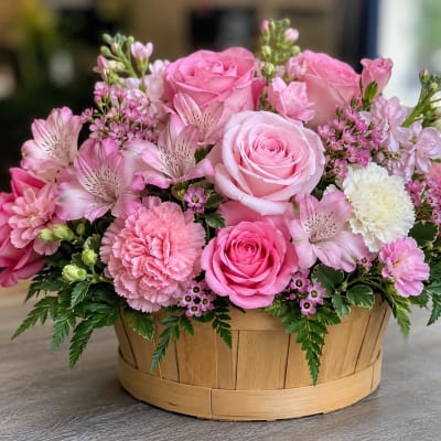 Blush Bliss