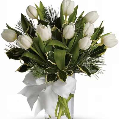 Tulips And Pine