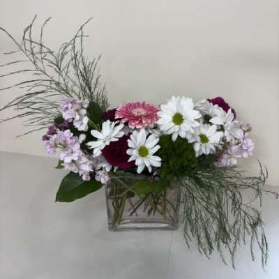 Daisy Daydream
