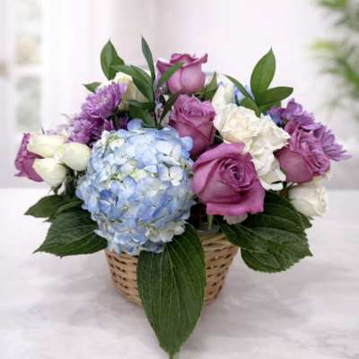 Basket arrangement of pink and white roses with blue hydrangea