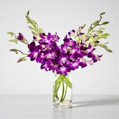 Purple orchids arranged in a clear glass vase