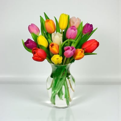 Colorful tulips arranged in a clear glass vase