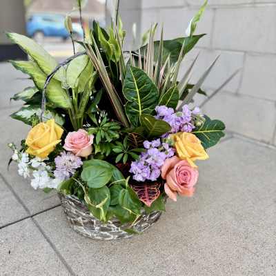 Garden in Bloom