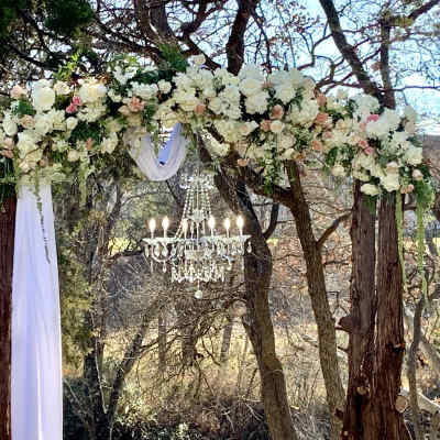 The Luxury Arch Collection