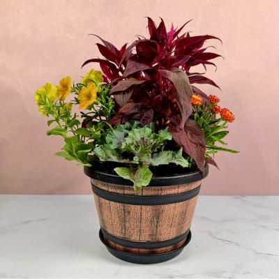 Potted mixed plant arrangement with yellow and orange blooms