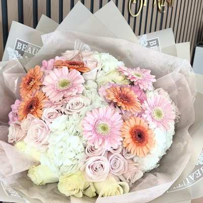 Gerberas Isle