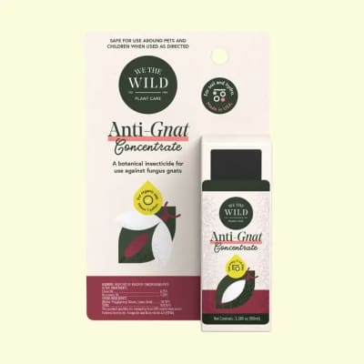 Anti Gnat