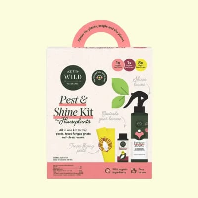 Pest & Shine Kit