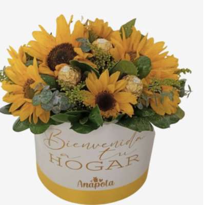 Sunflower arrangement in a white gift box with Spanish text