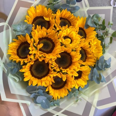 Bouquet of sunflowers wrapped in layered paper with eucalyptus