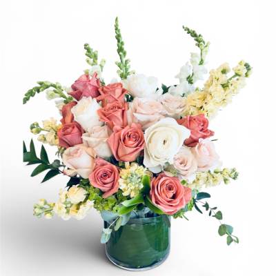 The Alia | Timeless Elegance