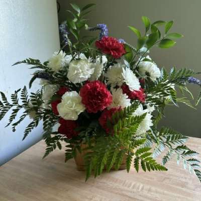 carnation surprise