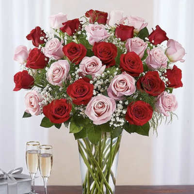 Ultimate Elegance Pink & Red Roses