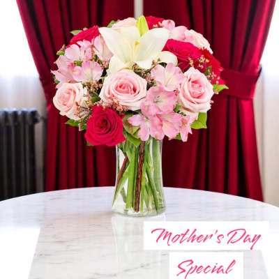 Mother’s Day Delight