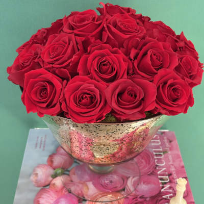 Fergie. (PRESERVED ROSES)