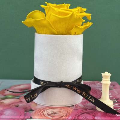 Yellow roses in a white hatbox with a black ribbon