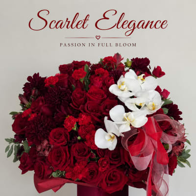 Red rose and orchid arrangement in a burgundy hat box with ribbon