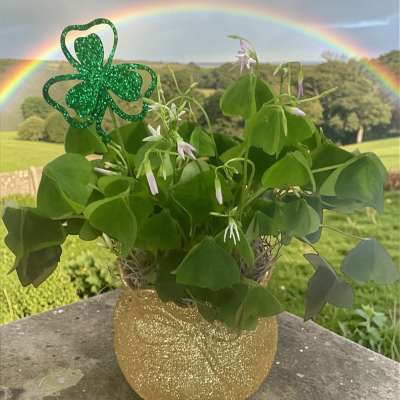 Pot O’ Gold