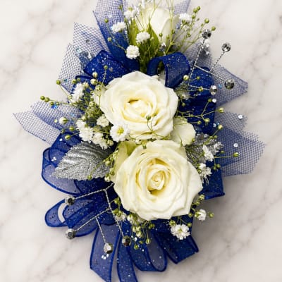 Moonlit Sapphire Formal Set