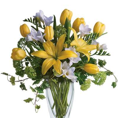 Yellow tulips and white freesia in a clear glass vase